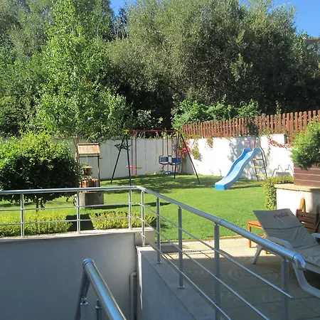 Alexander Services בנסקו